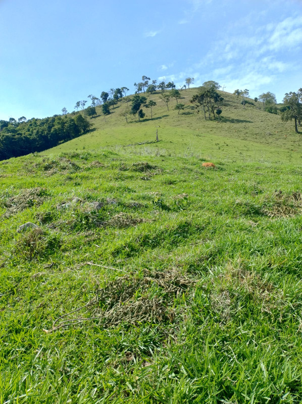 Chácara, 1 quarto, 73 hectares - Foto 25