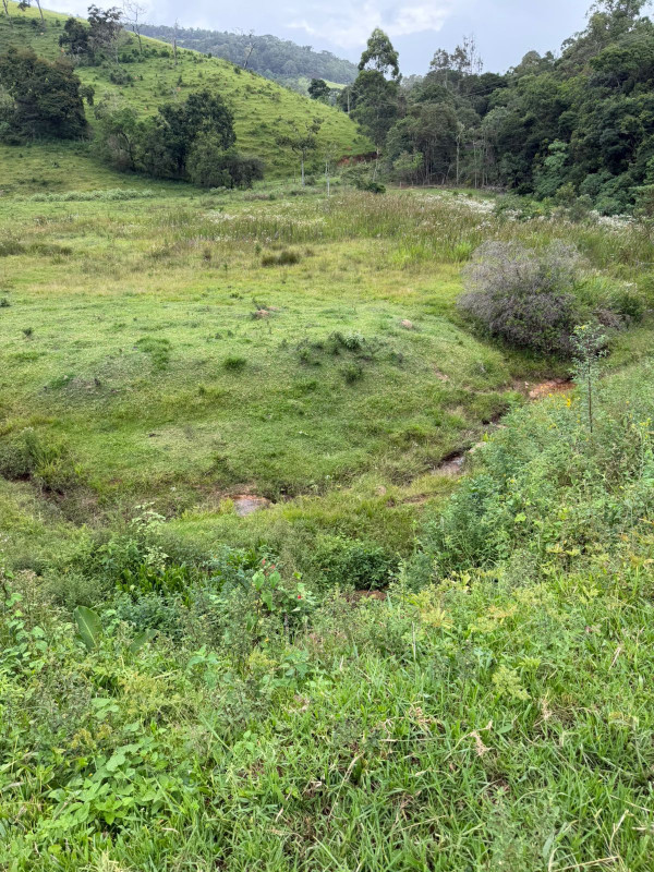 Chácara, 1 quarto, 73 hectares - Foto 20