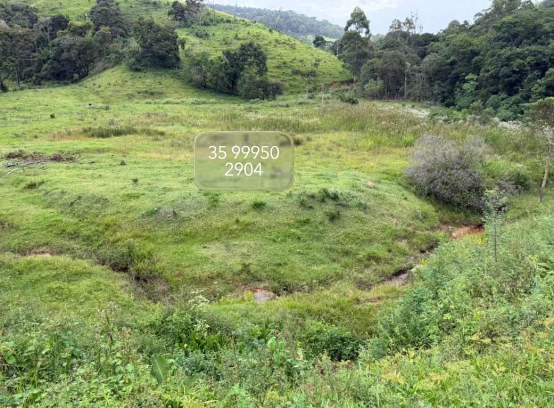 Fazenda, 73 hectares - Foto 3