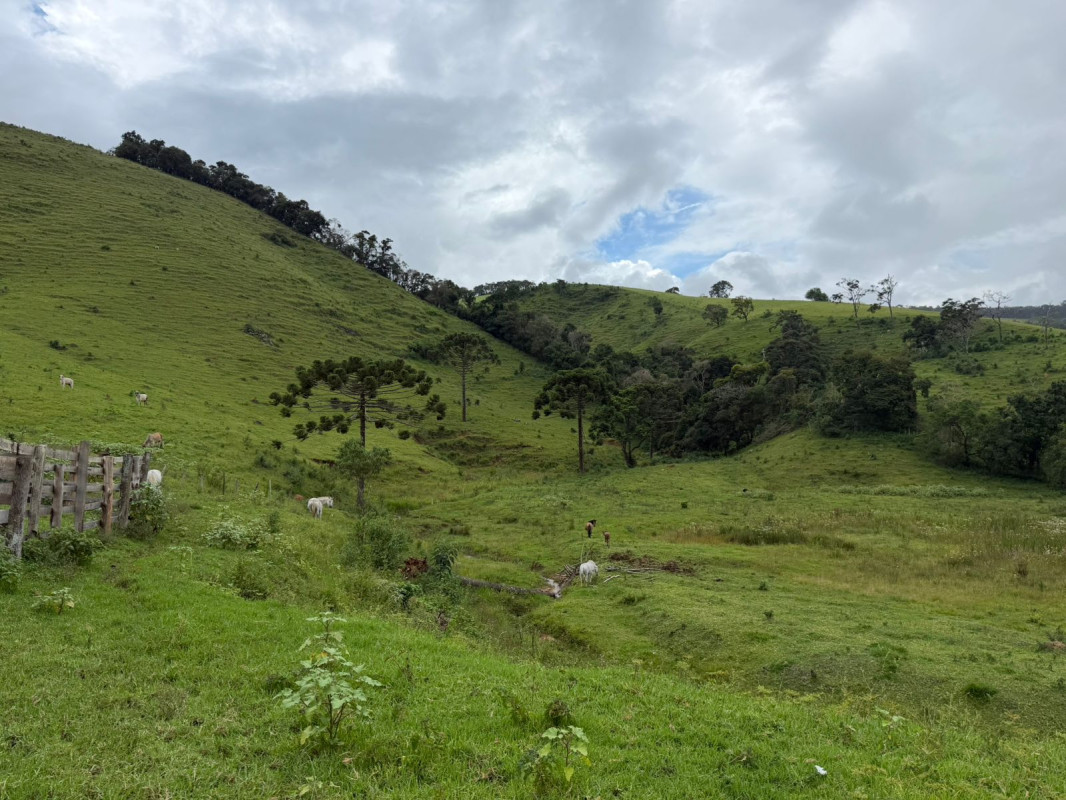 Chácara, 1 quarto, 73 hectares - Foto 12