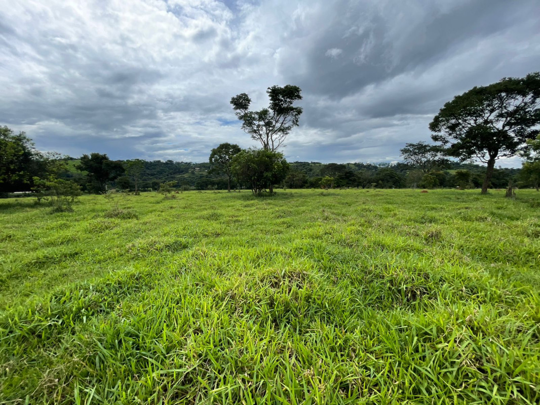 Fazenda, 5 hectares - Foto 3