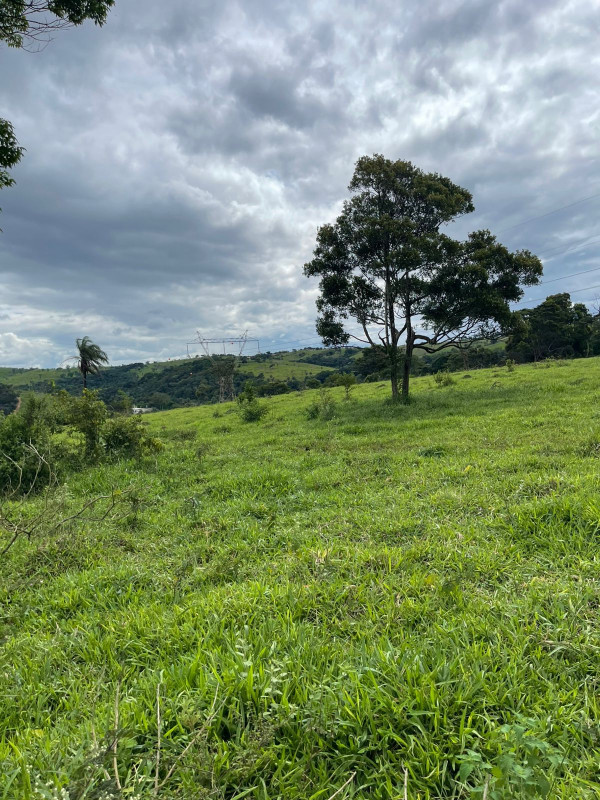 Fazenda, 5 hectares - Foto 2