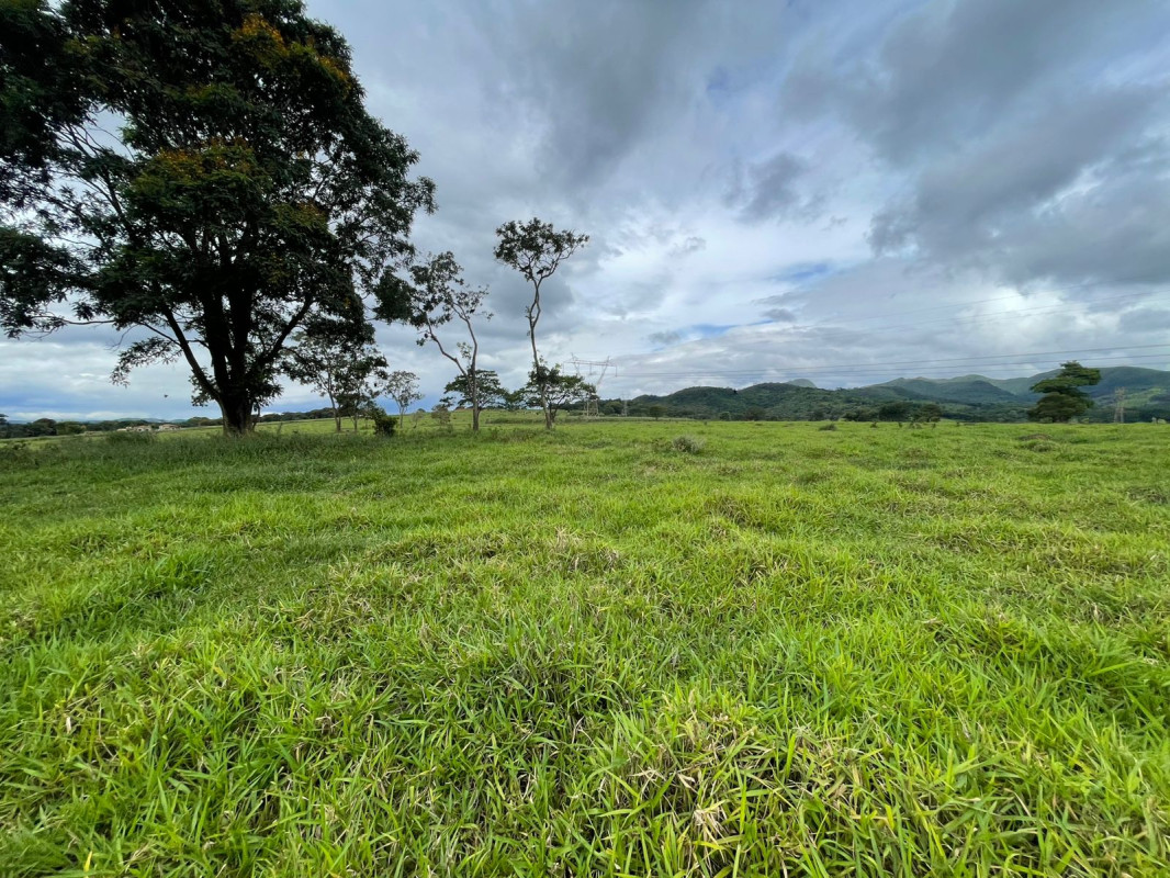 Fazenda, 5 hectares - Foto 1