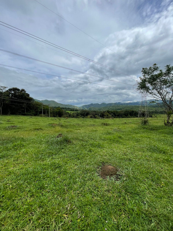 Fazenda, 5 hectares - Foto 5