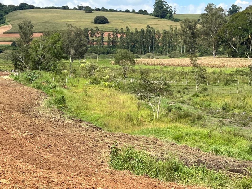 Sítio, 1 quarto, 16 hectares - Foto 3