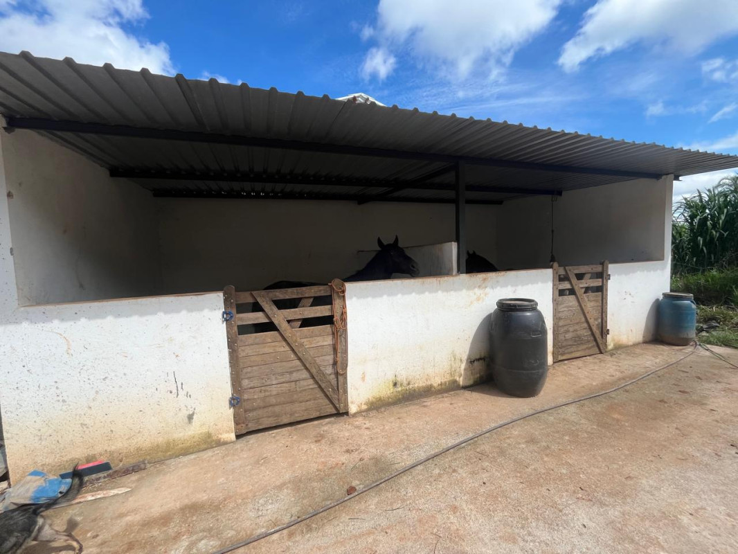 Chácara, 1 quarto, 16 hectares - Foto 14