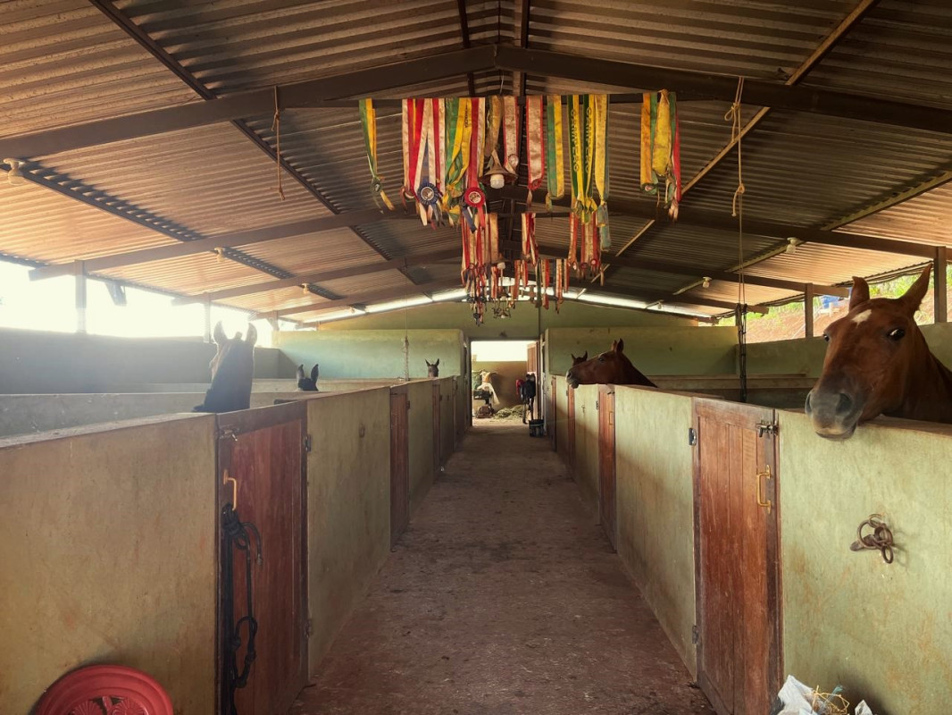 Chácara, 1 quarto, 16 hectares - Foto 13