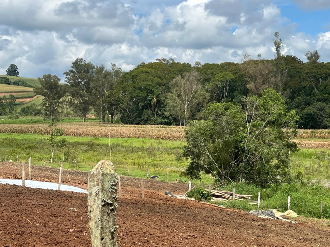 Chácara, 1 quarto, 16 hectares - Foto 6