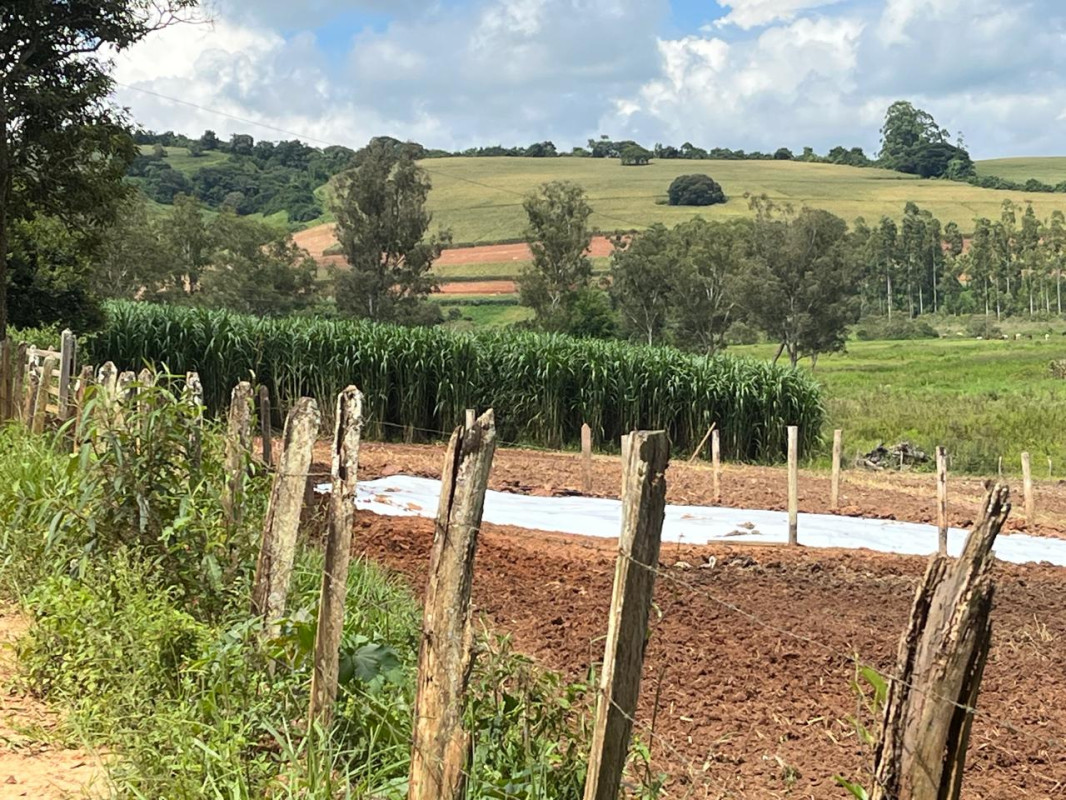 Sítio, 1 quarto, 16 hectares - Foto 5