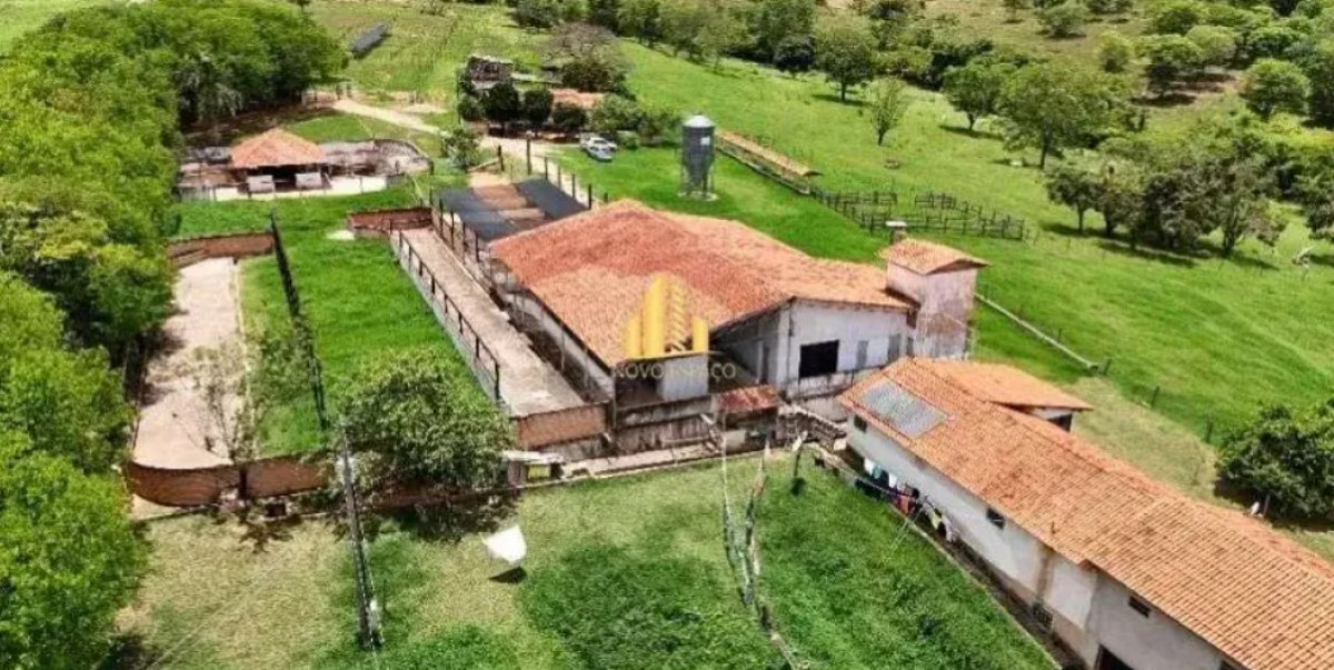 Fazenda, 165 hectares - Foto 1