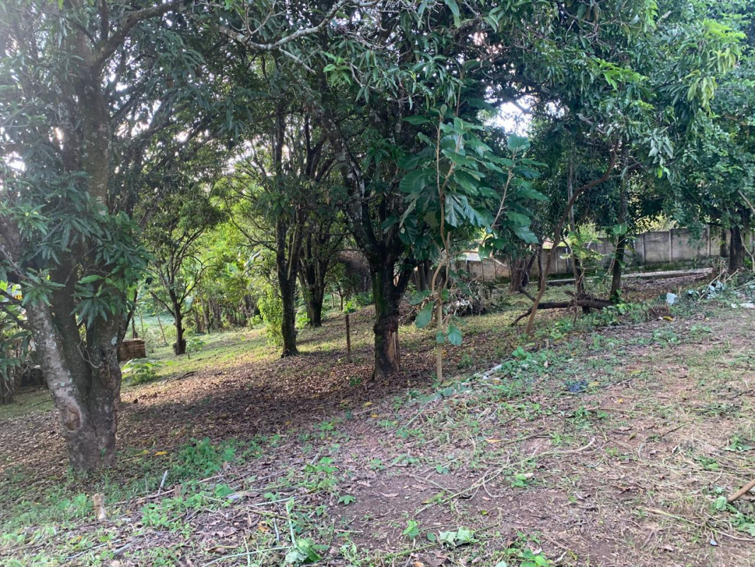 Chácara, 3 quartos, 5100 m² - Foto 6