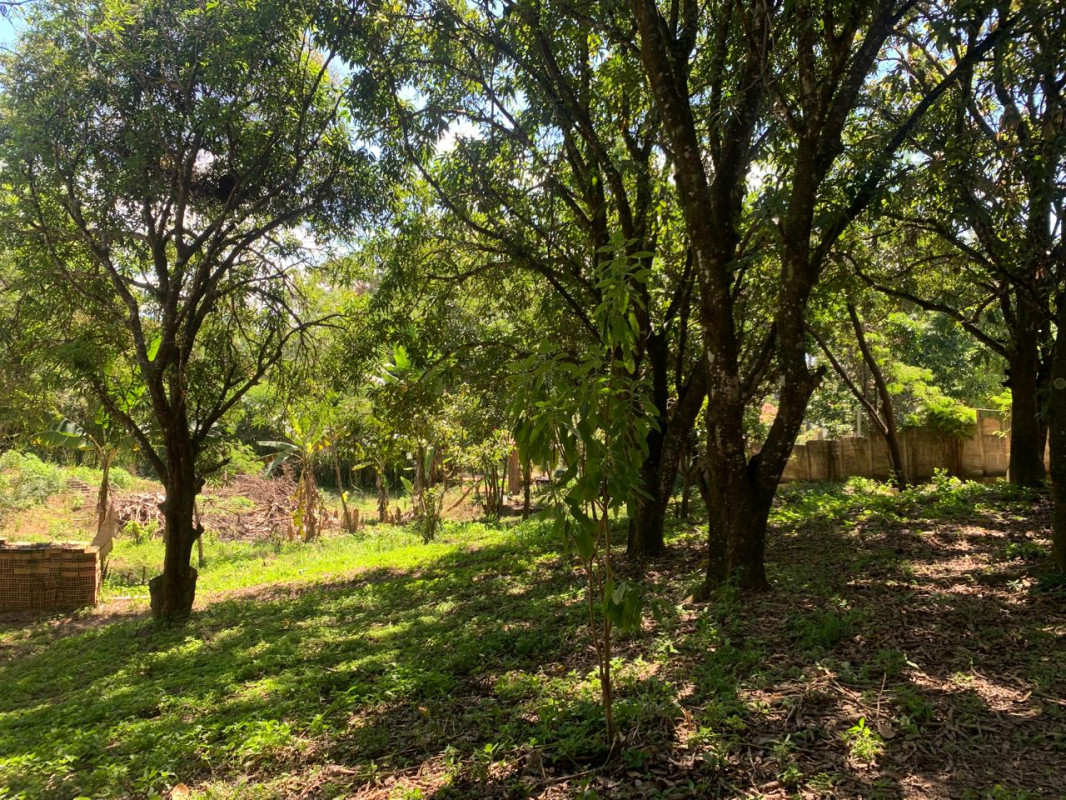 Chácara, 3 quartos, 5100 m² - Foto 11