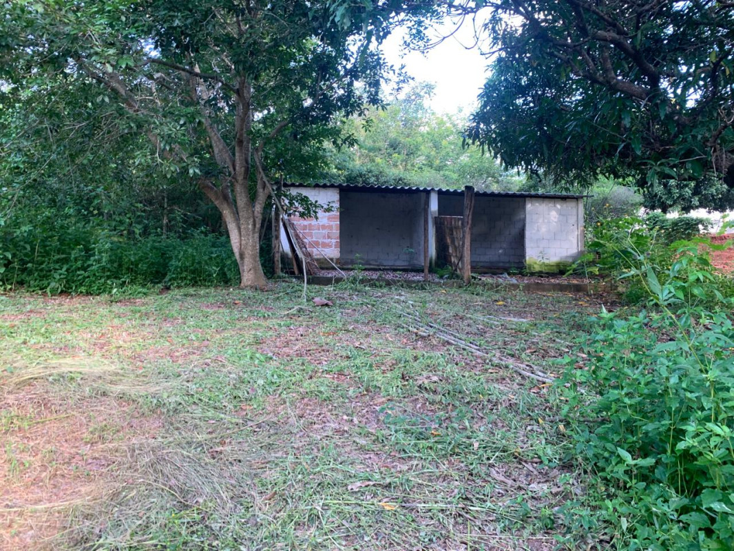 Chácara, 3 quartos, 5100 m² - Foto 4