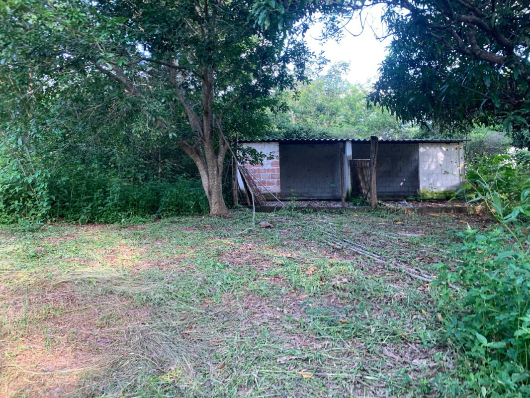 Chácara, 3 quartos, 5100 m² - Foto 5