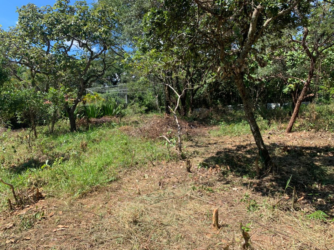 Chácara, 3 quartos, 5100 m² - Foto 15