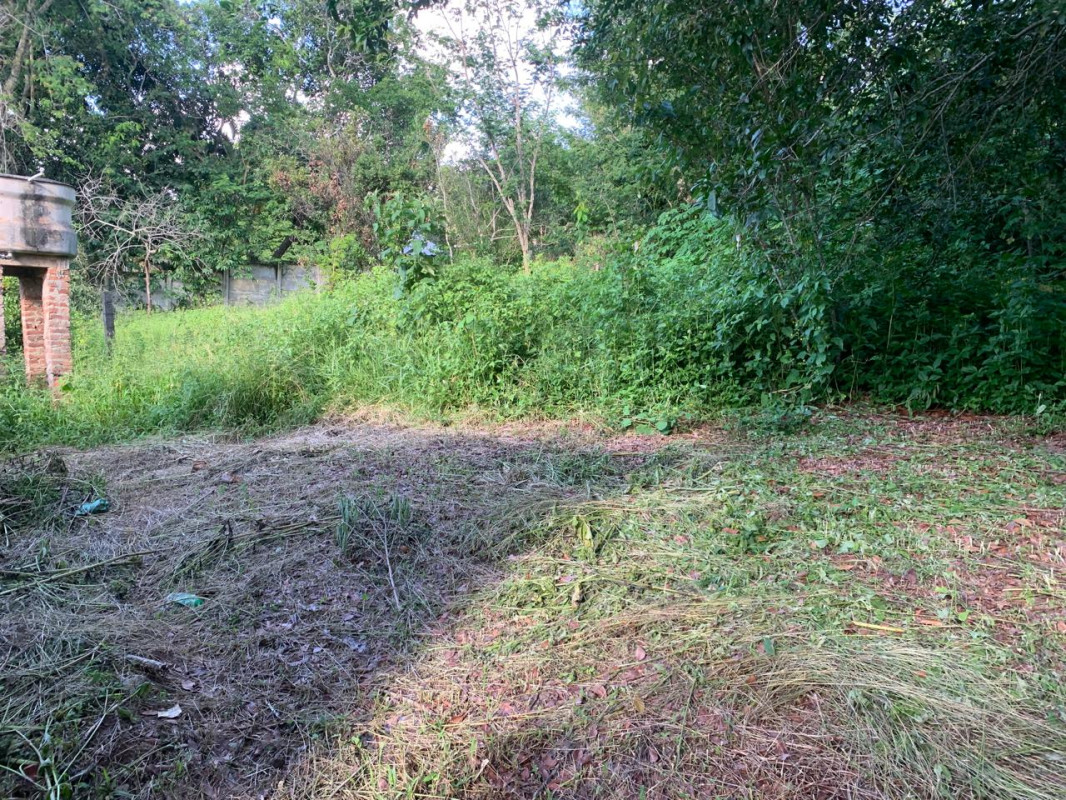 Chácara, 3 quartos, 5100 m² - Foto 9