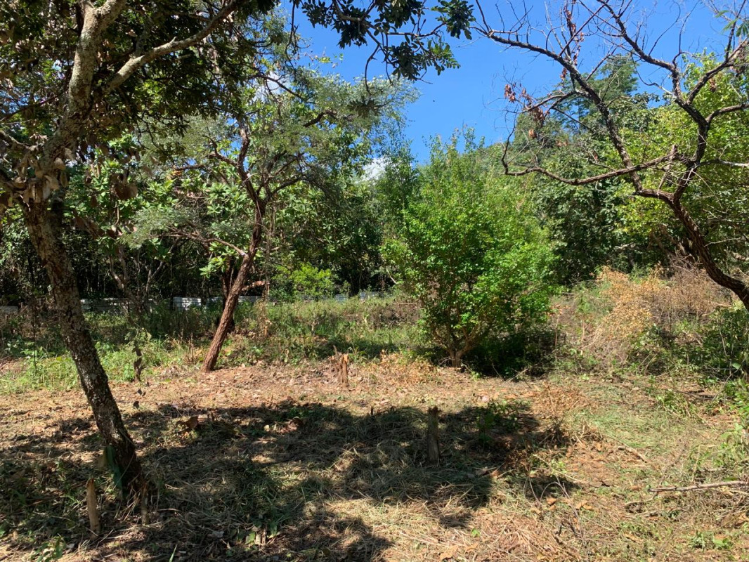 Chácara, 3 quartos, 5100 m² - Foto 16