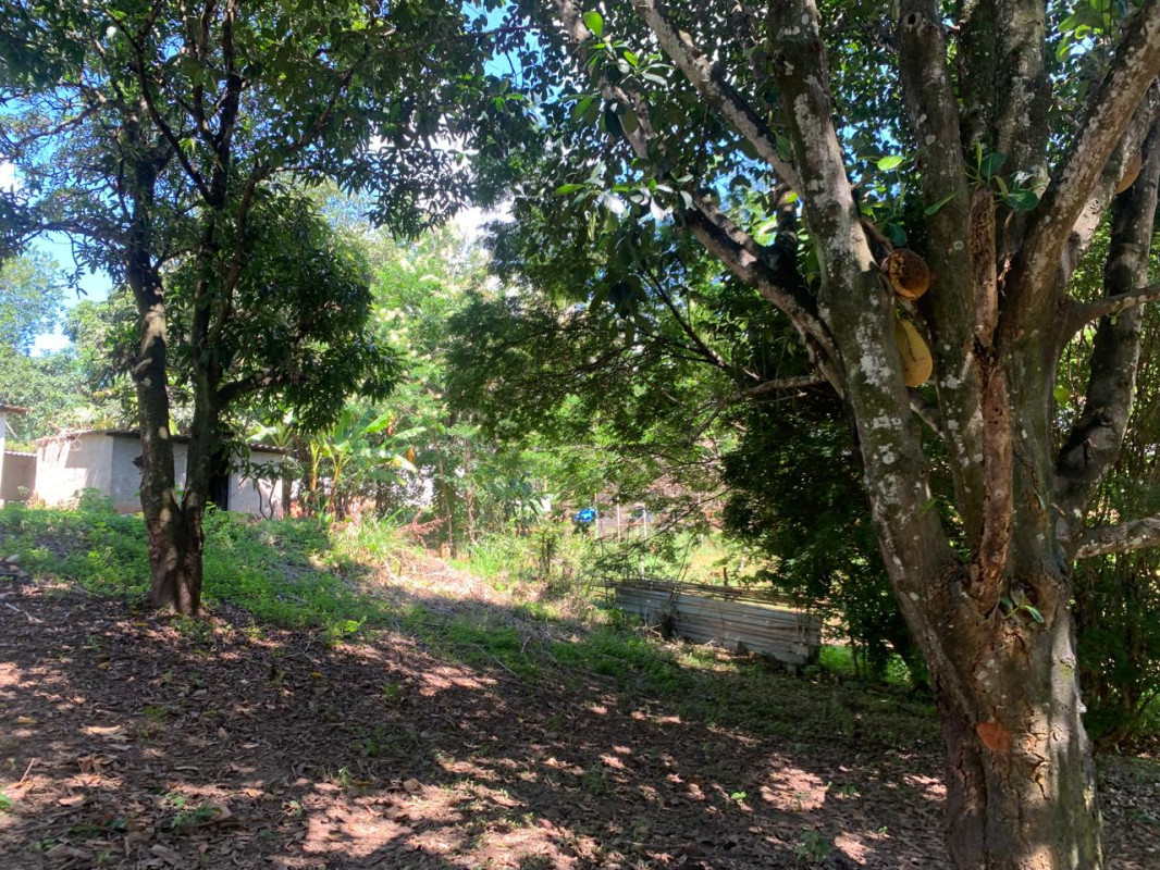 Chácara, 3 quartos, 5100 m² - Foto 17