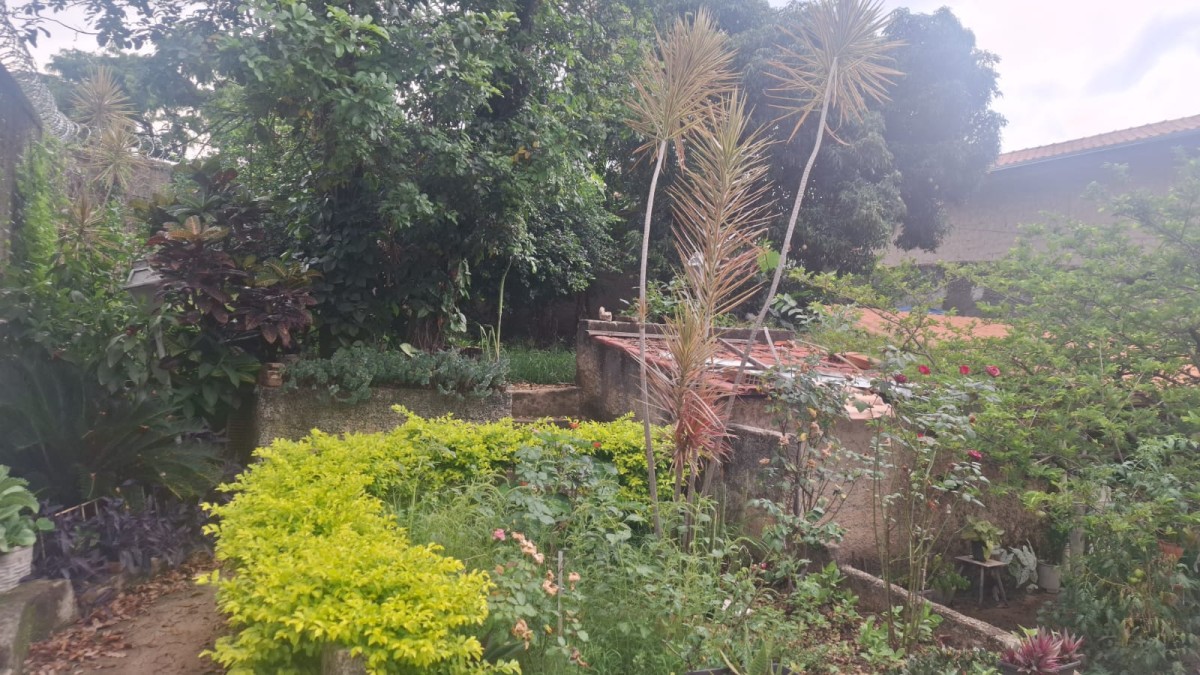 Casa, 4 quartos, 194 m² - Foto 17