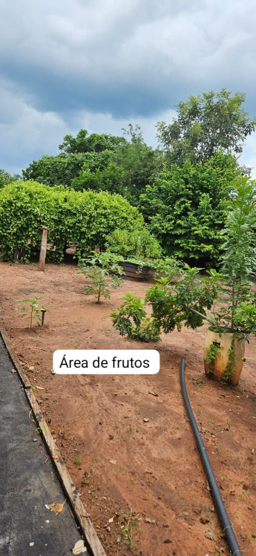 Chácara, 3 quartos, 2000 m² - Foto 23