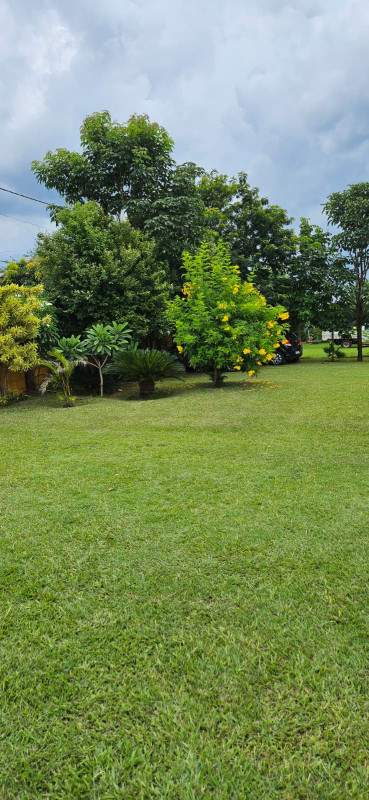 Chácara, 3 quartos, 2000 m² - Foto 25