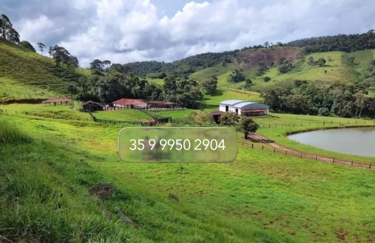 Chácara, 1 quarto, 157 hectares - Foto 4