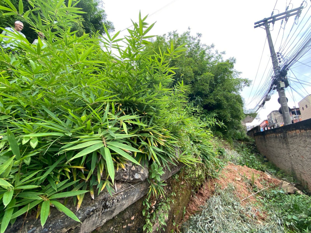 Terreno, 400 m² - Foto 12