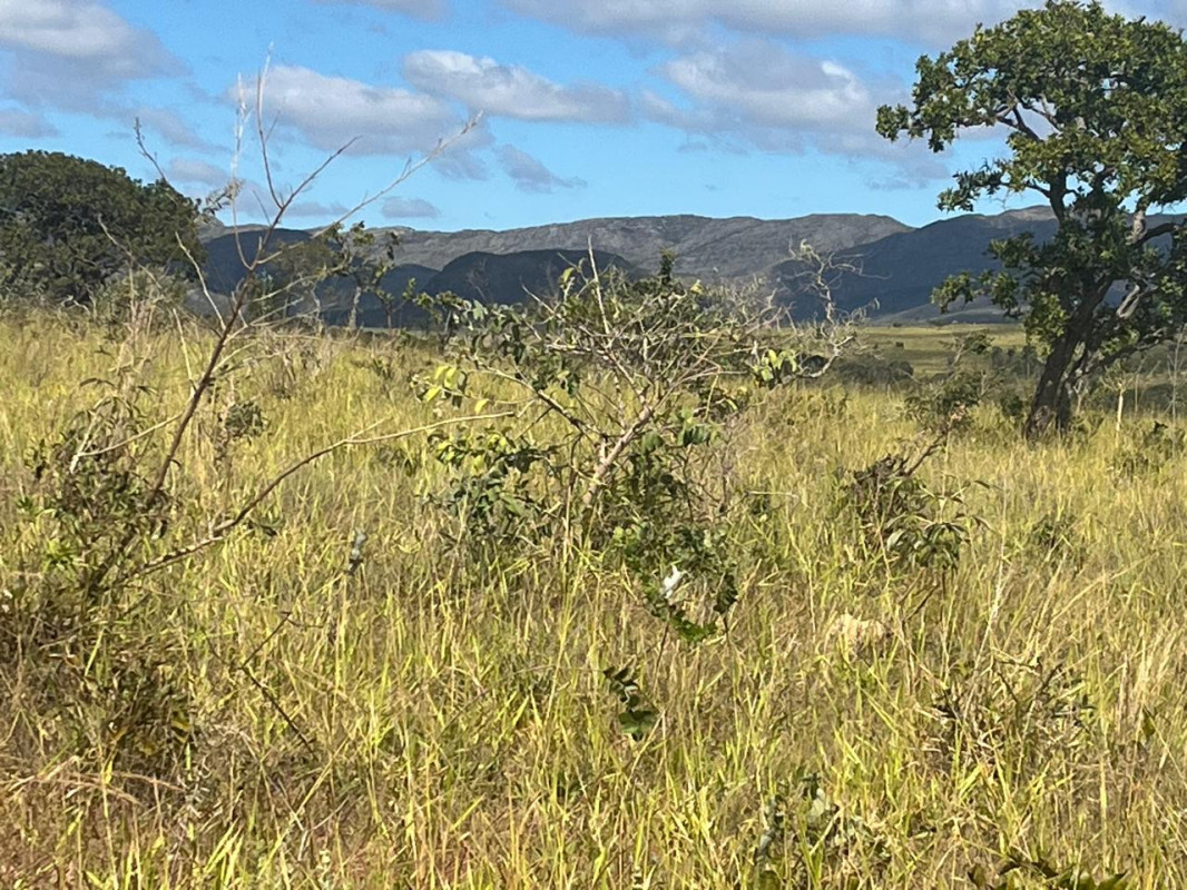 Chácara, 1 quarto, 908 hectares - Foto 15