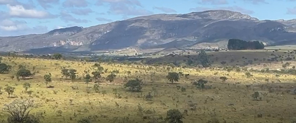 Chácara, 1 quarto, 908 hectares - Foto 3