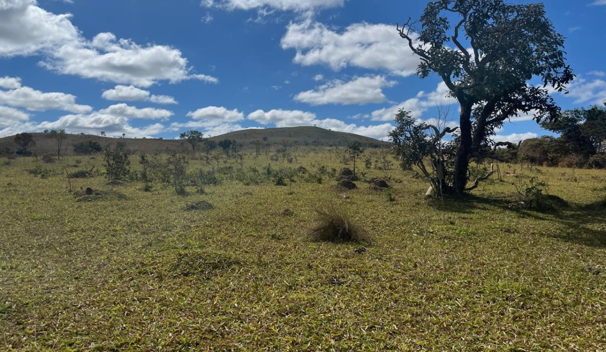 Chácara, 1 quarto, 908 hectares - Foto 10