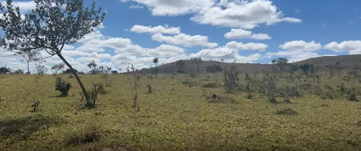 Chácara, 1 quarto, 908 hectares - Foto 20