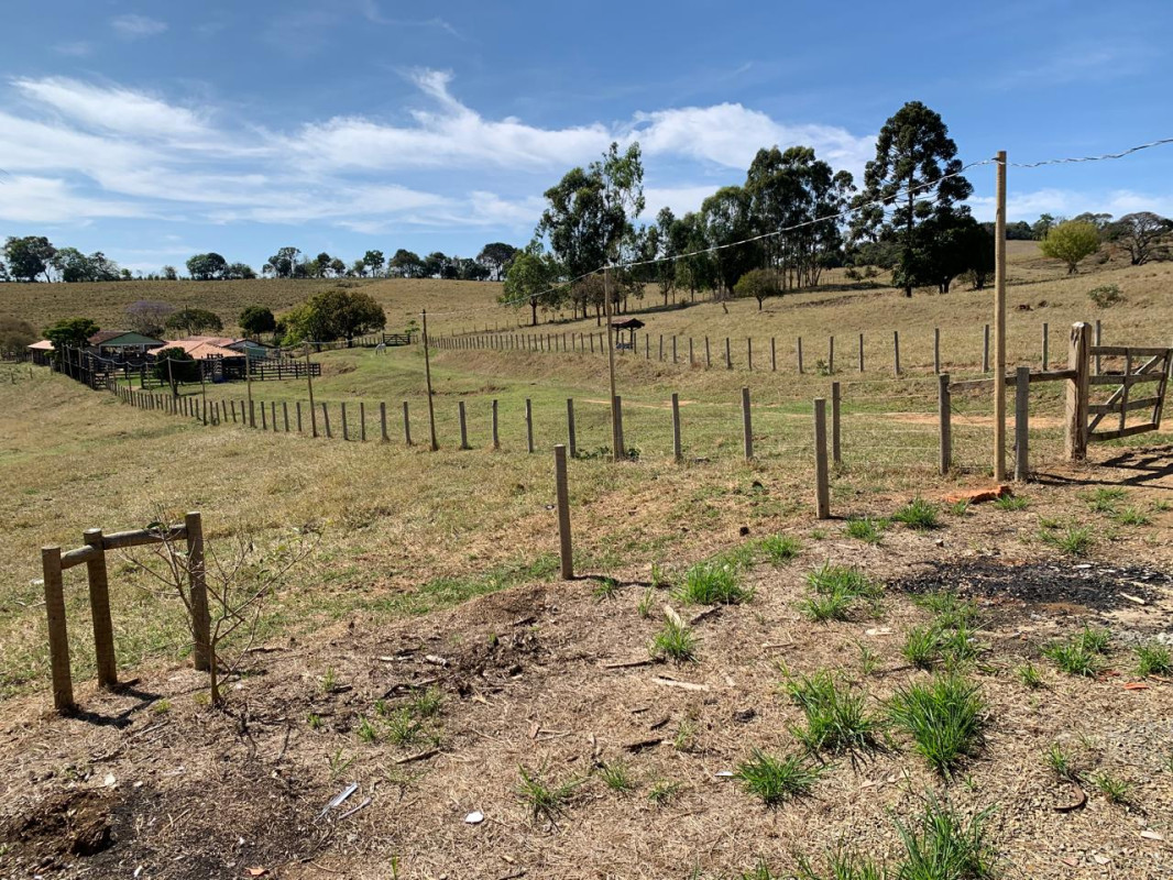 Chácara, 1 quarto, 15 hectares - Foto 8