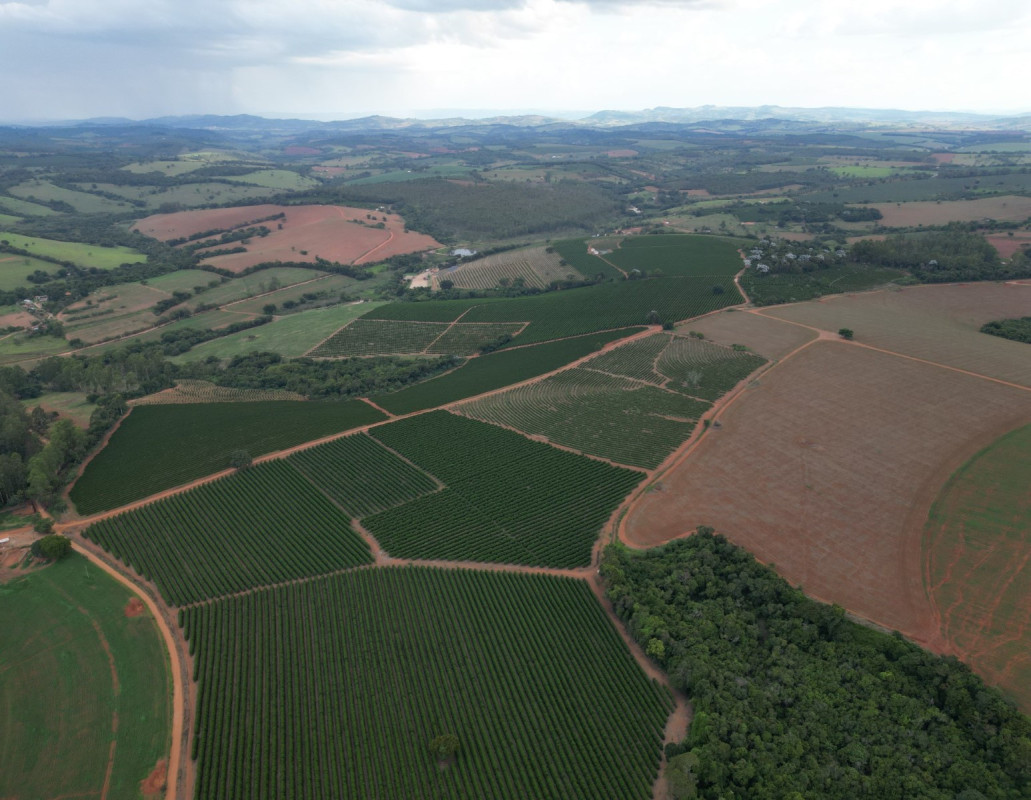 Chácara, 1 quarto, 400 hectares - Foto 8