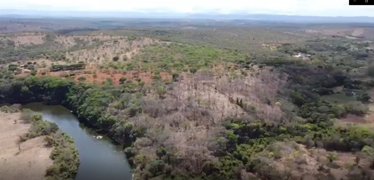 Chácara, 1 quarto, 300 hectares - Foto 1
