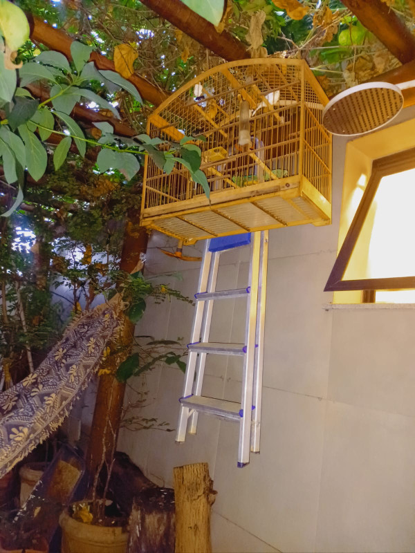Apartamento, 1 quarto, 75 m² - Foto 17