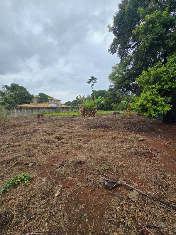 Casa, 2 quartos, 2400 m² - Foto 22