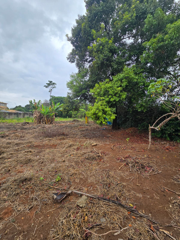 Casa, 2 quartos, 2400 m² - Foto 20