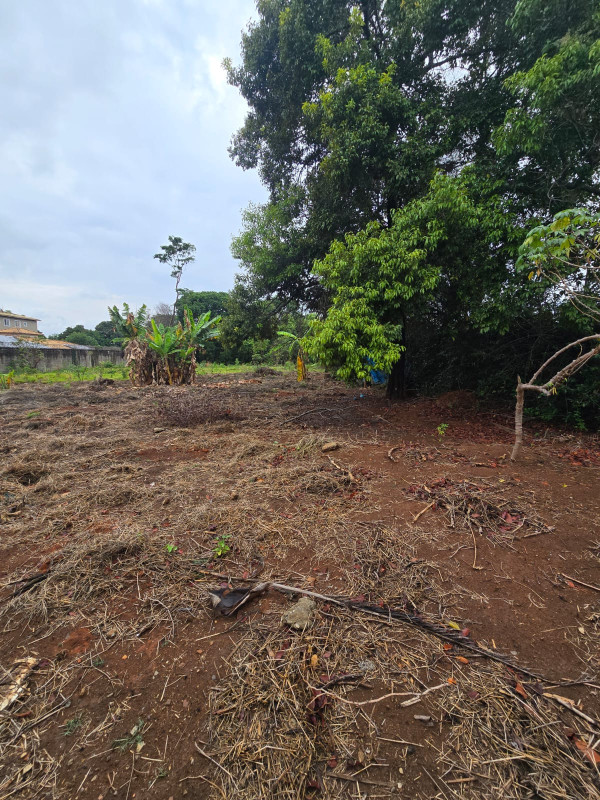 Casa, 2 quartos, 2400 m² - Foto 3