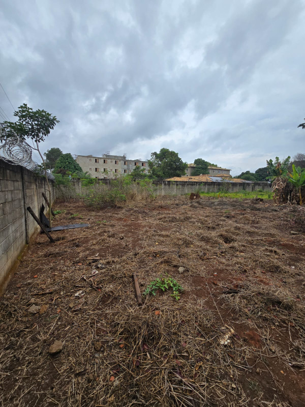 Casa, 2 quartos, 2400 m² - Foto 5