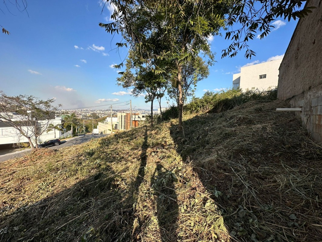 Terreno, 479 m² - Foto 6