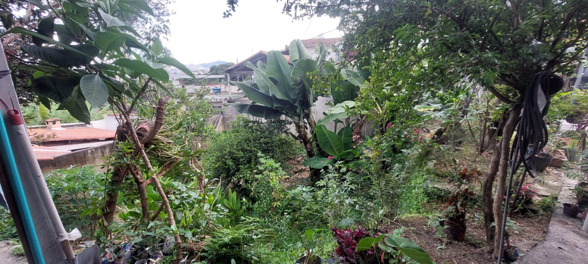 Casa, 3 quartos, 356 m² - Foto 15