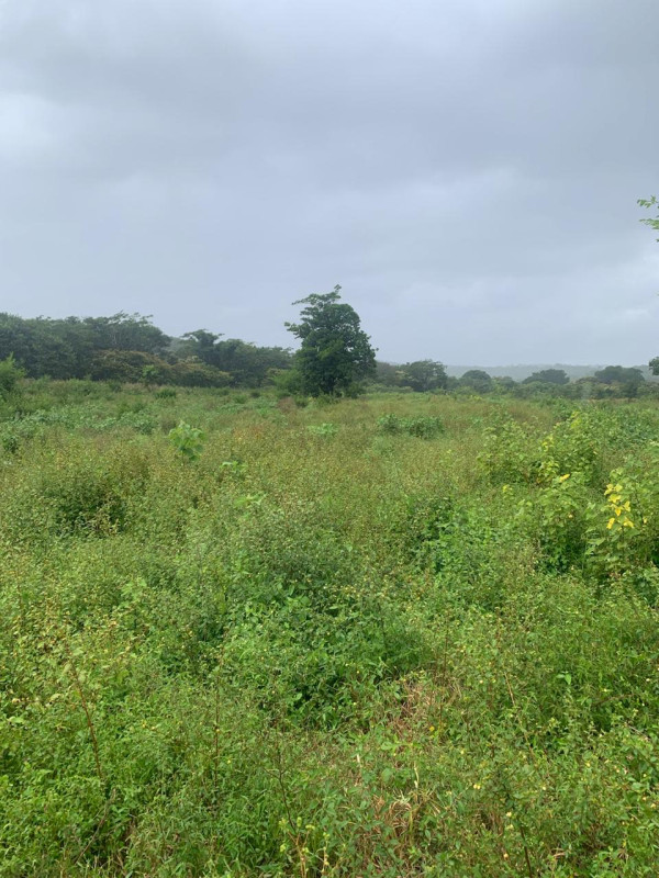 Chácara, 1 quarto - Foto 15