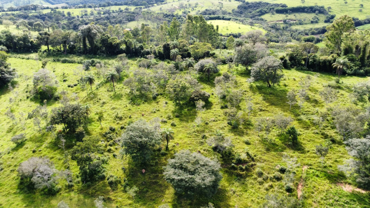 Chácara, 1 quarto, 3 hectares - Foto 13