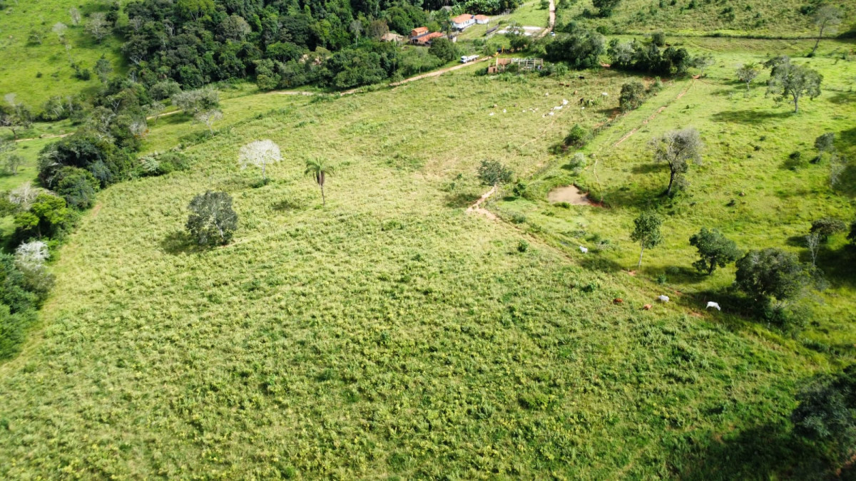 Chácara, 1 quarto, 3 hectares - Foto 17