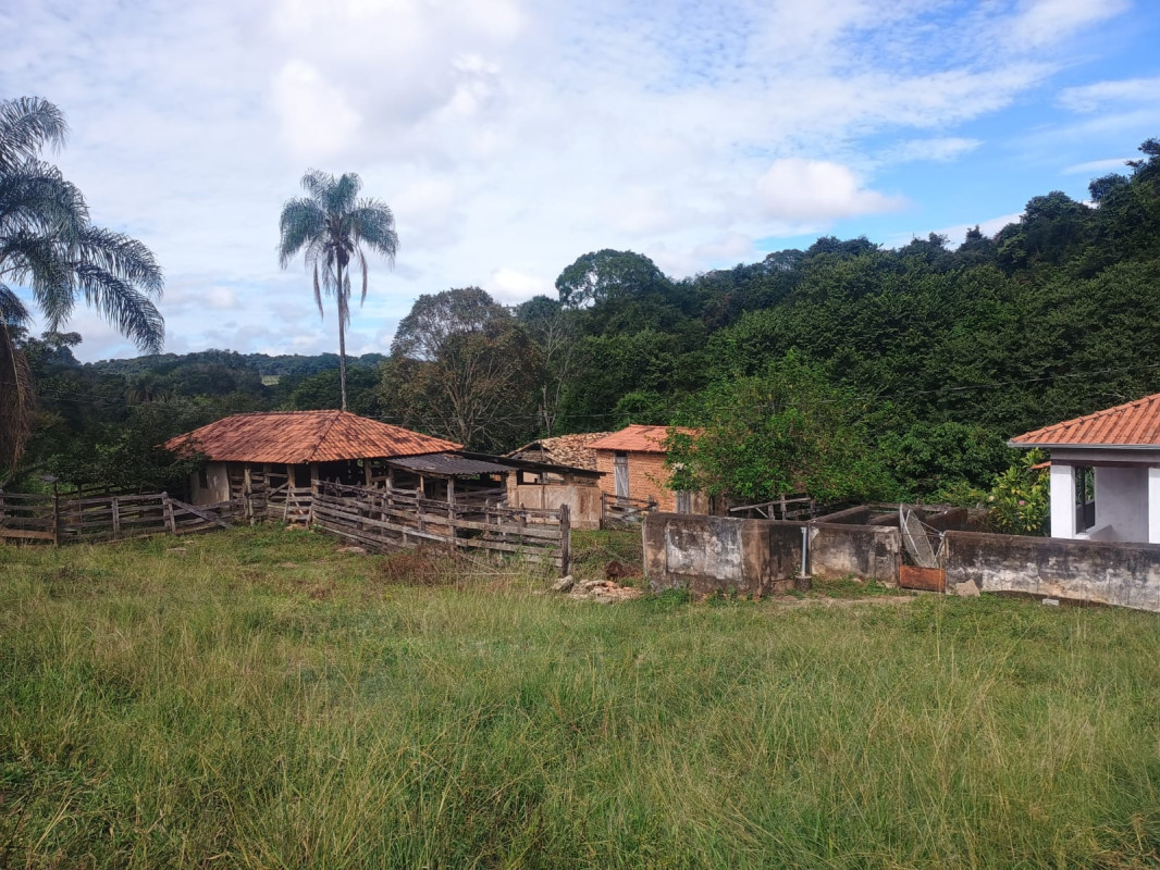 Chácara, 1 quarto, 3 hectares - Foto 18