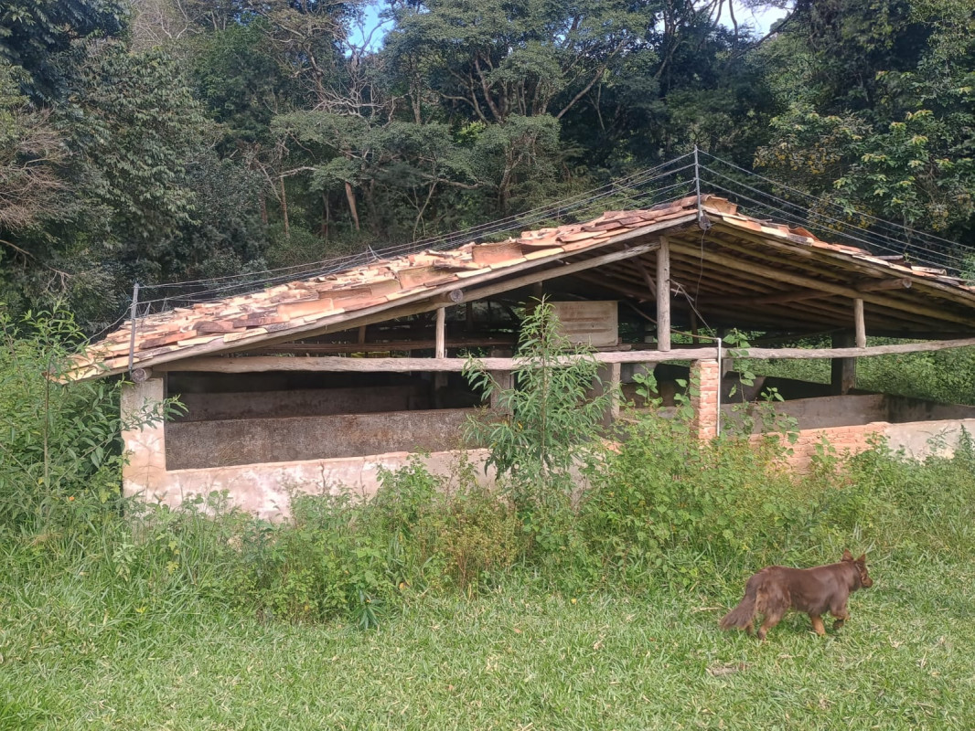 Chácara, 1 quarto, 3 hectares - Foto 7
