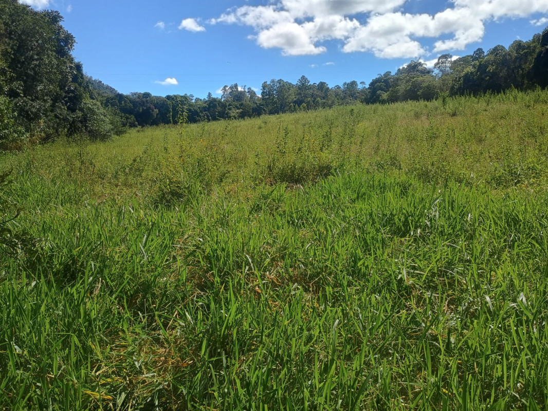 Chácara, 1 quarto, 3 hectares - Foto 19