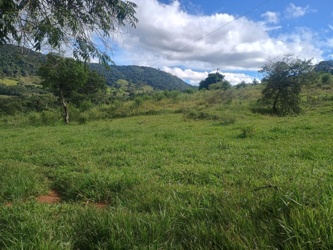 Chácara, 1 quarto, 3 hectares - Foto 21