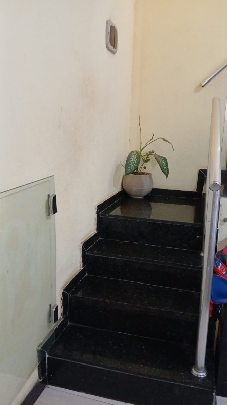 Casa, 6 quartos, 480 m² - Foto 6
