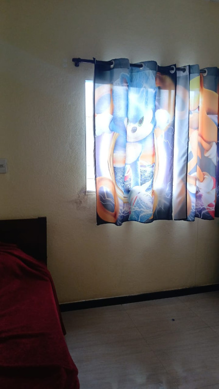 Casa, 6 quartos, 480 m² - Foto 15